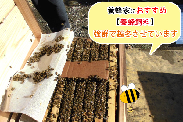 今井養蜂のおすすめ養蜂飼料