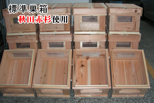 標準巣箱お分けします【秋田杉材使用】