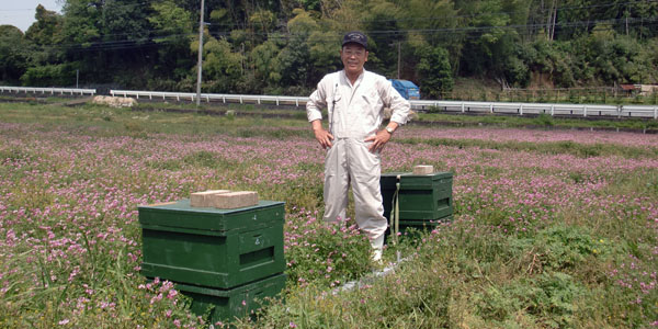 自家採り天然蜂蜜の今井養蜂