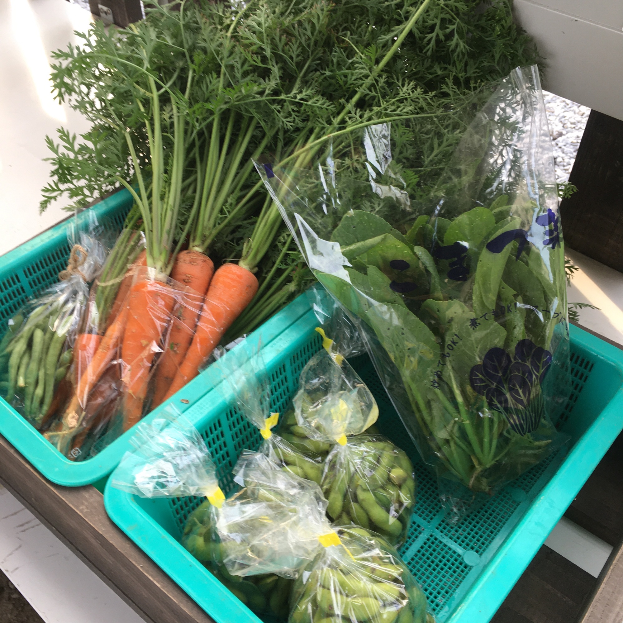 ７月の野菜