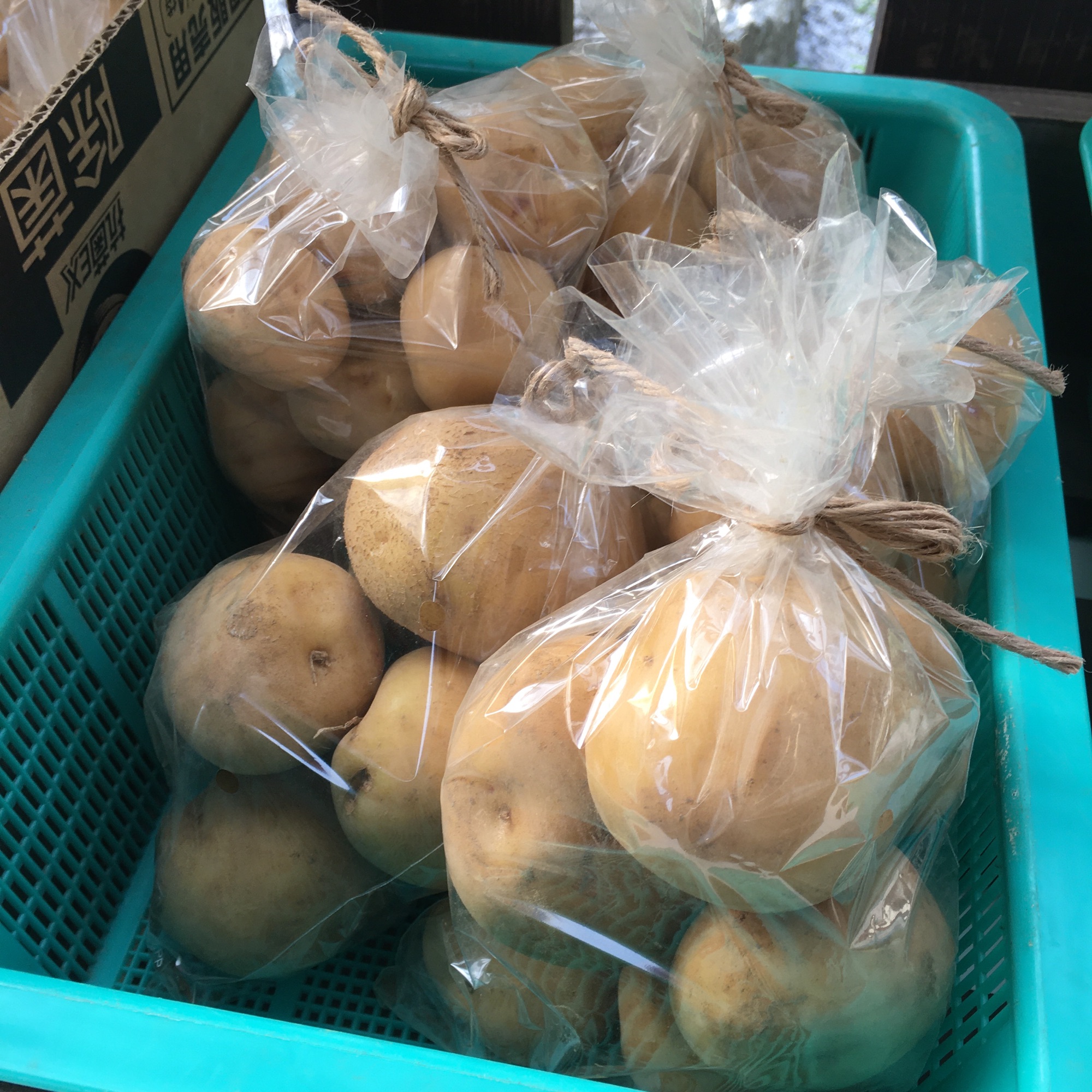 新ジャガでーす