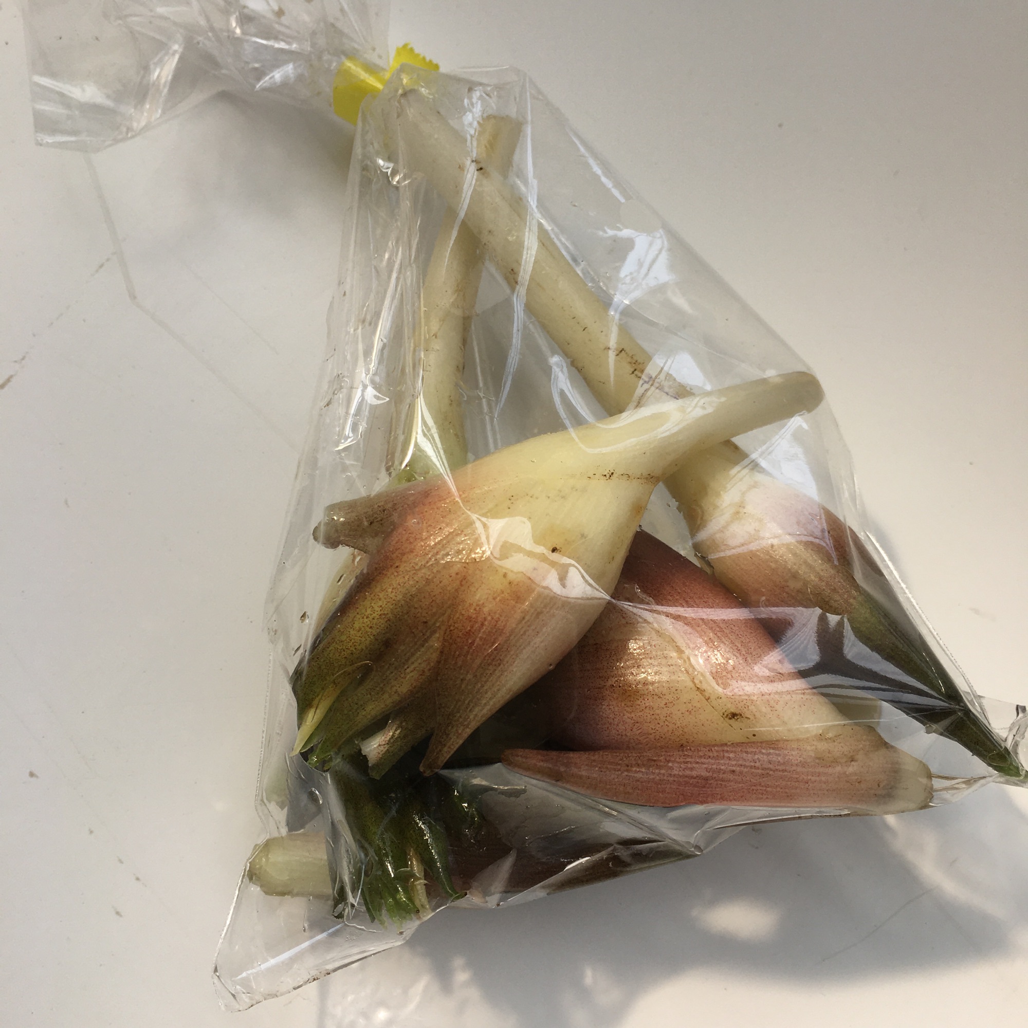 みょうが