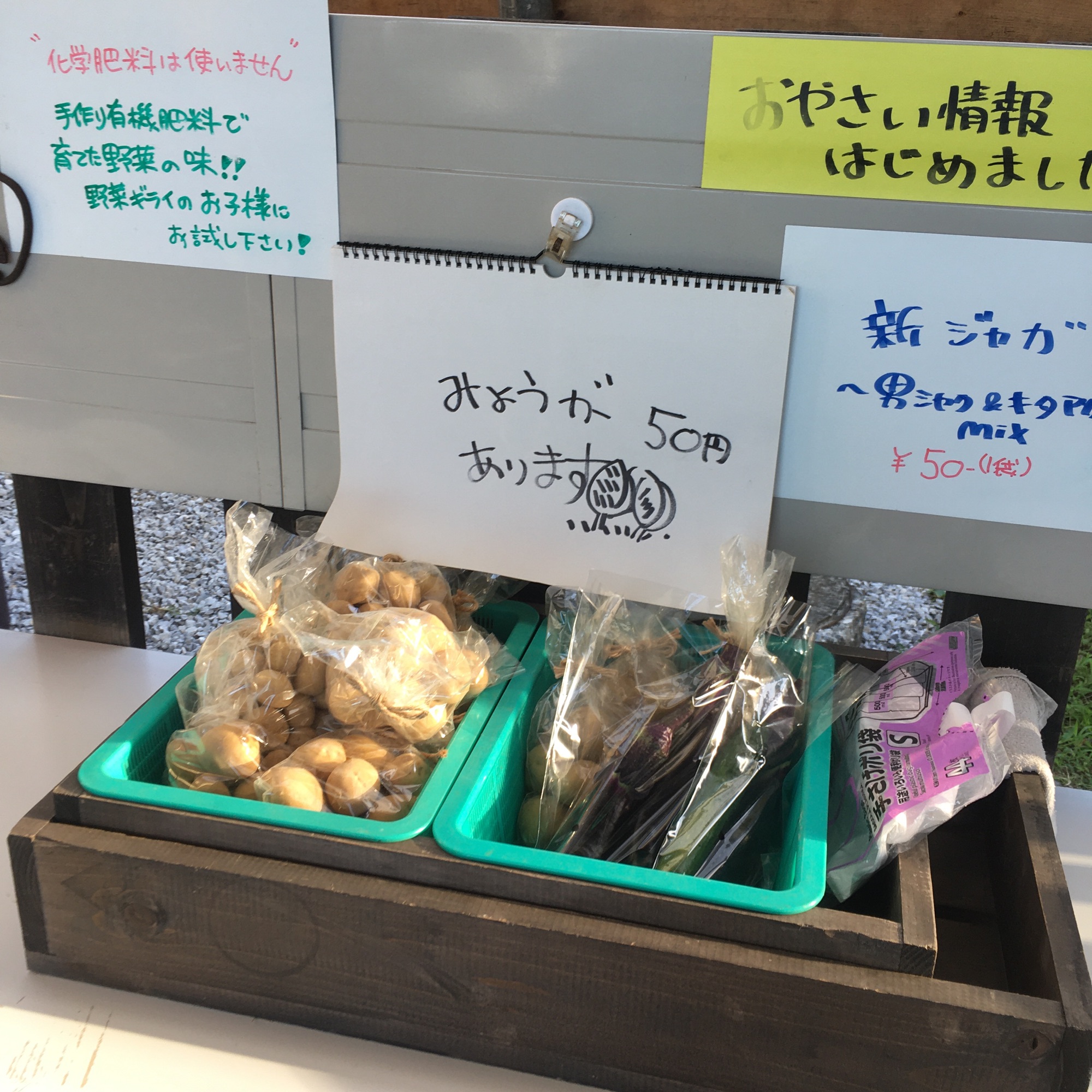 夏野菜