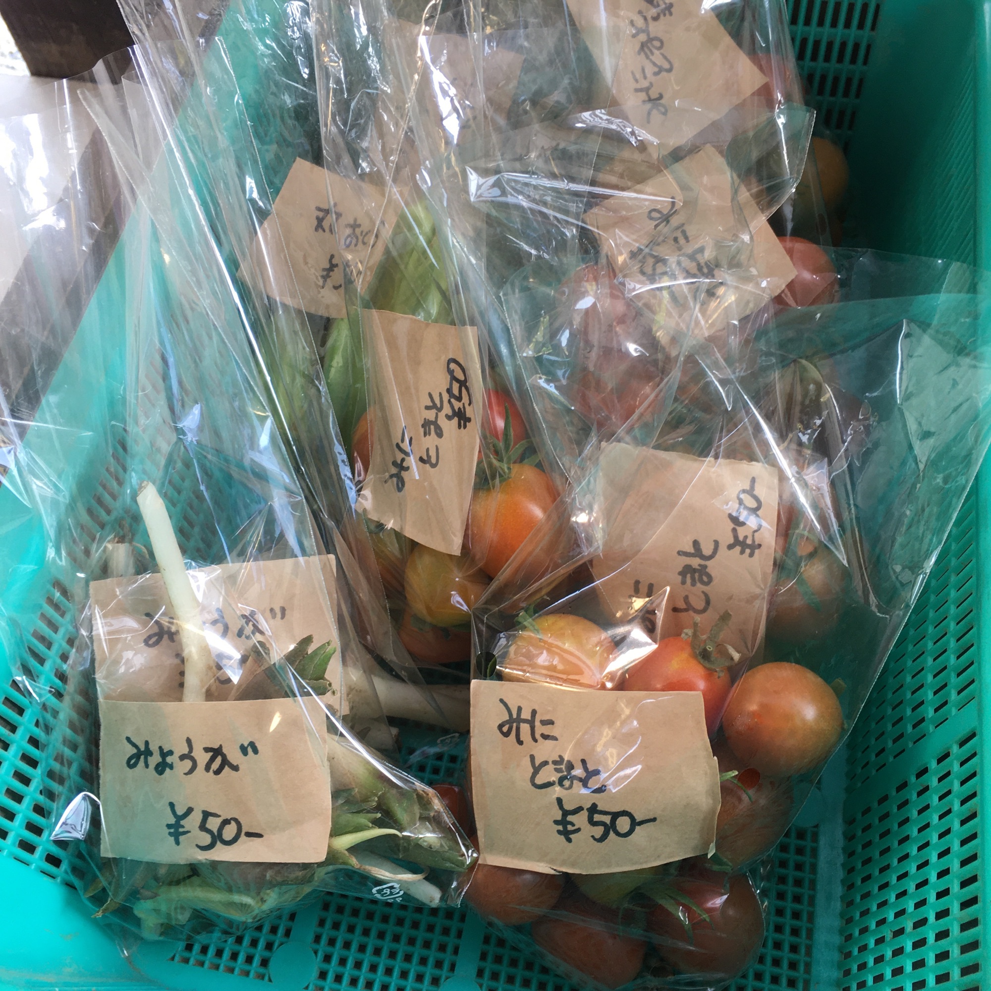 夏野菜