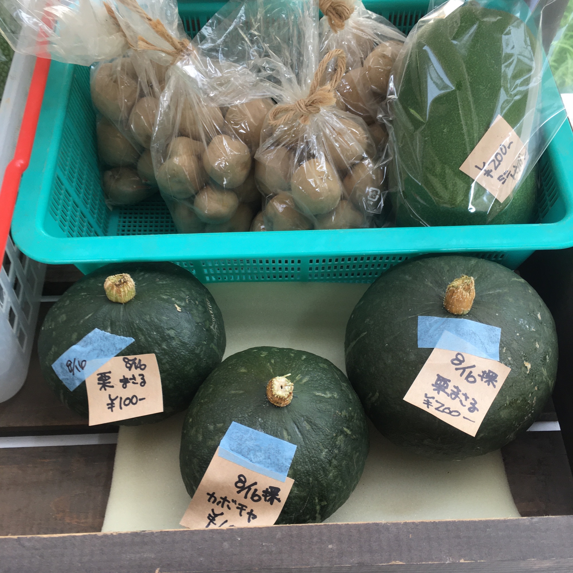 今日の野菜