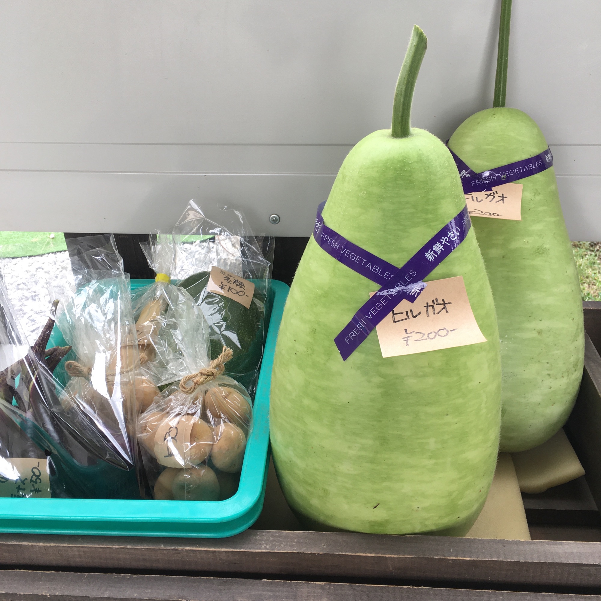 昼顔